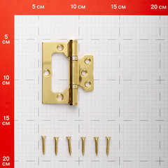 Петля бабочка универсальная неразъемная 75х63 мм золото - фото 2