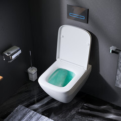 Унитаз подвесной AM.PM Spirit 2.0 безободковый с сиденьем дюропласт микролифт (C701701SC) - фото 2