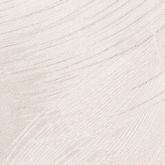 Обои компакт-винил на флизелиновой основе Euro Decor Phoenix 7216-01 (1,06х10,05 м) - фото 3