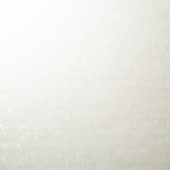 Обои компакт-винил на флизелиновой основе WallSecret Casablanca 8814-11 (1,06х10,05 м) - фото 4