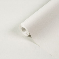 Обои компакт-винил на флизелиновой основе Palitra Home Monochrome HC71823-14 (1,06х10,05 м) - фото 1