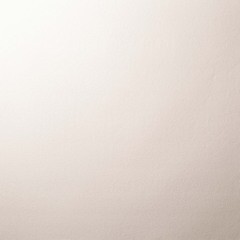 Обои компакт-винил на флизелиновой основе Elysium Эмоция Е501106 (1,06х10,05 м) - фото 4