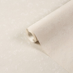 Обои вспененный винил на флизелиновой основе Elysium Оди Е57503 (1,06х10,05 м) - фото 1