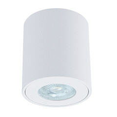 Светильник потолочный Arte Lamp Tino GU10 35 Вт 2 кв.м белый IP44 (A1469PL-1WH) - фото 1