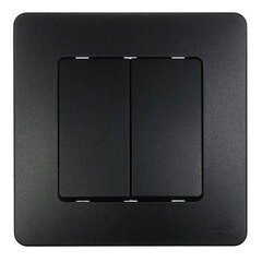 Переключатель Systeme Electric Blanca встраиваемый антрацит (BLNVS106606) - фото 1