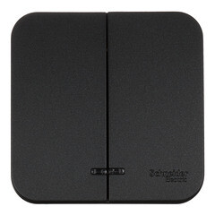 Выключатель Systeme Electric Blanca двухклавишный накладной антрацит с подсветкой (BLNVA105116) - фото 1