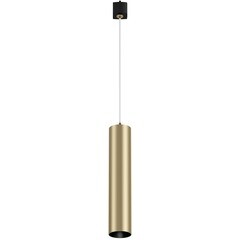 Трековый светильник однофазный Maytoni Technical Focus Unity 10 Вт GU10 3 кв.м золото (TR025-1-GU10-MG) - фото 1