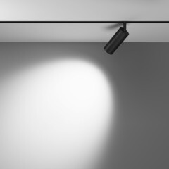 Светодиодный трековый светильник однофазный Maytoni Technical Focus Led Exility 4000К 12 Вт 4 кв.м черный (TR032-2-12W4K-W-B) - фото 4