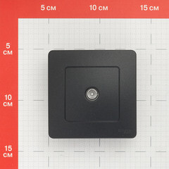 Розетка телевизионная Systeme Electric Blanca встраиваемая антрацит (BLNTS000016) - фото 3