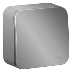 Изображение товара Выключатель Systeme Electric Blanca одноклавишный накладной алюминий (BLNVA101003)