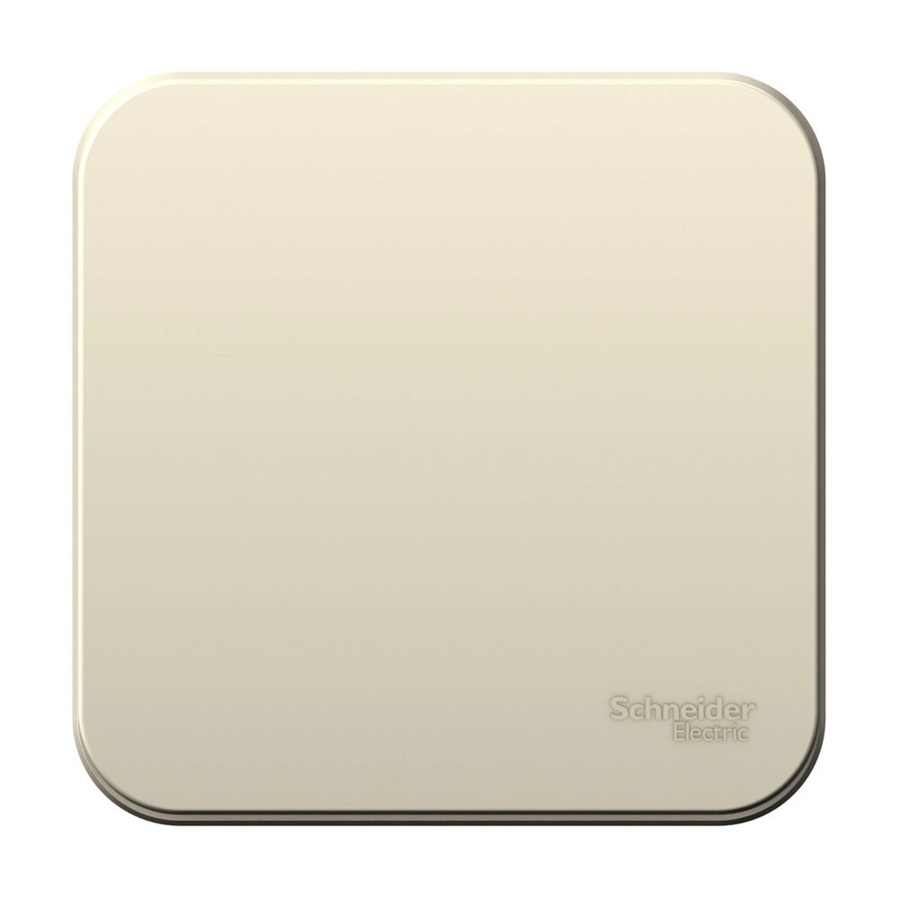 Изображение товара Выключатель Systeme Electric Blanca одноклавишный накладной молочный