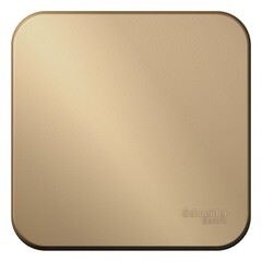 Изображение товара Выключатель Systeme Electric Blanca одноклавишный накладной титан (BLNVA101014)