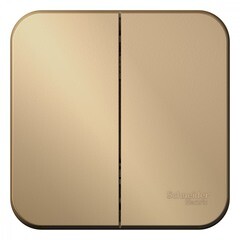 Изображение товара Выключатель Systeme Electric Blanca двухклавишный накладной титан (BLNVA105014)