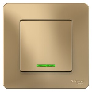 Выключатель с рамкой Systeme Electric Blanca BLNVS010114 скрытая ...