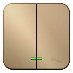 Выключатель Systeme Electric Blanca двухклавишный накладной титан с подсветкой (BLNVA105114)