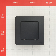 Переключатель Systeme Electric Blanca встраиваемый антрацит (BLNVS010606) - фото 3