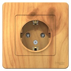 Изображение товара Розетка Systeme Electric Blanca встраиваемая ясень (BLNRS001015)