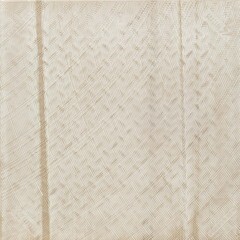 Керамогранит Grasaro Fly белый 600х600х9 мм (5 шт.=1,8 кв.м) - фото 2