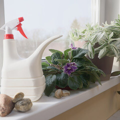 Лейка с опрыскивателем Архимед 1,3 л пластиковая - фото 3