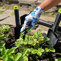 Совок посадочный Adrianoplast (Р1253) широкий - фото 4