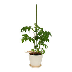 Опора для растений Garden Show пластик/металл 600 мм (466135) - фото 3