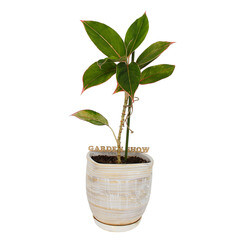 Опора для растений Garden Show пластик/металл 600 мм (466135) - фото 2