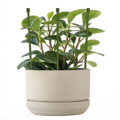 Опора для растений Garden Show круглая металл 250 мм (466333) - фото 3