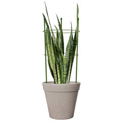 Опора для растений Garden Show круглая металл 400 мм (466336) - фото 6