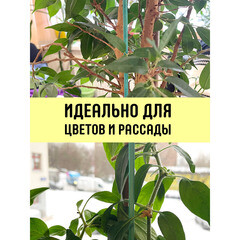 Опора для растений Garden Show бамбук 400 мм (12 шт.) (466830) - фото 4