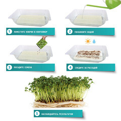 Набор ковриков для выращивания микрозелени 160х100х5 мм Garden Show (4 шт.) - фото 5