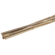 Опора для растений Green Apple бамбук 1800 мм (GBS-10-180)