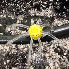 Капельница регулируемая для капельного полива Irritime до 70 л/ч (1892037) - фото 2