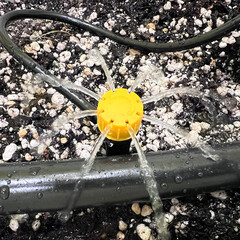 Капельница регулируемая на стойке для капельного полива Irritime до 70 л/ч (1892068) - фото 3