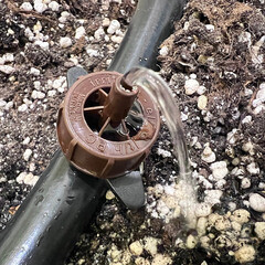 Капельница нерегулируемая компенсированная разборная для капельного полива Irritime 8 л/ч (1891948) - фото 2