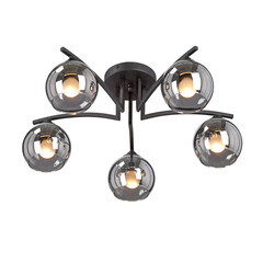 Люстра потолочная Vitaluce V4285 E27 200 Вт 15 кв.м (V4285-1/5PL) - фото 2