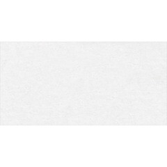 Керамогранит Delacora Absolute белый матовый 1200х600х9,5 мм (2 шт.=1,44 кв.м) - фото 2