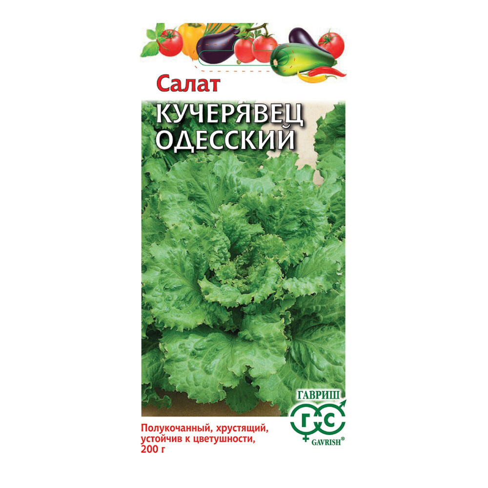 Изображение товара Салат Кучерявец Одесский Гавриш 0,5 г