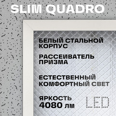 Светильник светодиодный для потолка армстронг Rev ДВО/ДПО-48 6500К 48 Вт IP20 белый призма (28975 3) - фото 5