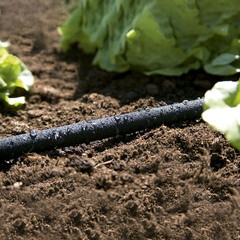 Шланг для капельного полива 1/2 7,5 м однослойный MasterProf неопреновый (ДС.070950) - фото 3