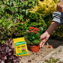 Удобрение минеральное сухое для цветов Био Гумат Агрикола 10 г - фото 2