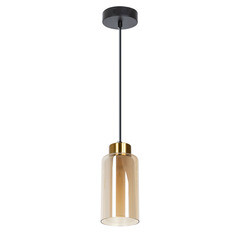 Изображение товара Светильник подвесной Arte Lamp Leo Е14 40 Вт 1,5 кв.м черный IP20 (A7027SP-1BK)