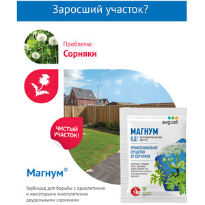 Средство для защиты газона от двудольных сорняков Avgust Магнум 2 г ...