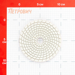 Круг алмазный шлифовальный по камню Hesler гибкий d100 мм P3000 для мокрого шлифования (1 шт.) - фото 3