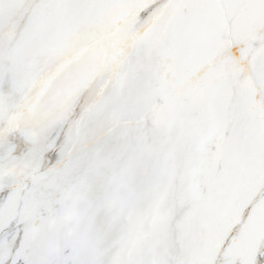 Керамогранит Laparet Calacatta Roma белый полированный 600х600х9 мм (4 шт.=1,44 кв.м) - фото 1