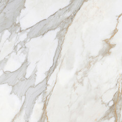 Керамогранит Laparet Calacatta Roma белый полированный 600х600х9 мм (4 шт.=1,44 кв.м) - фото 4