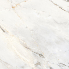 Керамогранит Laparet Calacatta Roma белый полированный 600х600х9 мм (4 шт.=1,44 кв.м) - фото 10