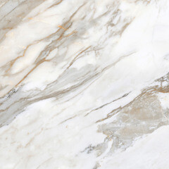 Керамогранит Laparet Calacatta Roma белый полированный 600х600х9 мм (4 шт.=1,44 кв.м) - фото 8