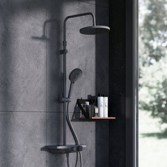 Душевая система Damixa Apollo с верхним душем с лейкой черная (947760300) - фото 2