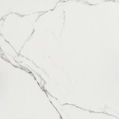 Керамогранит Lavelly Calacatta Palace белый полированный 600х600х8,2 мм (4 шт.=1,44 кв.м) - фото 3