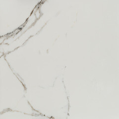 Изображение товара Керамогранит Lavelly Calacatta Palace белый матовый 600х600х8,2 мм (4 шт.=1,44 кв.м)